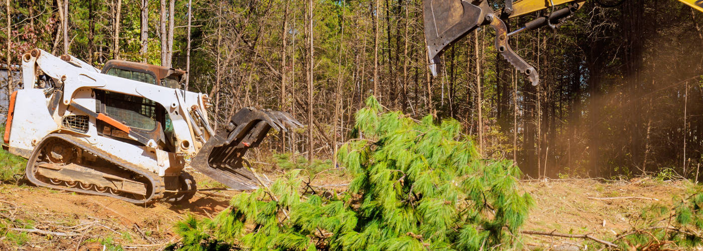 Featured Image for Georgia Forestry Mulching LLC